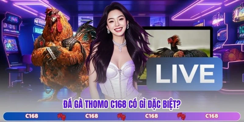 Đá gà Thomo C168 có gì đặc biệt?
