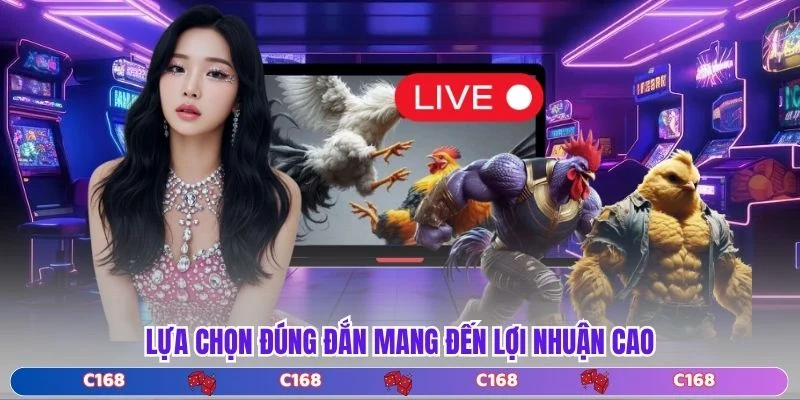 Lựa chọn đúng đắn mang đến lợi nhuận cao