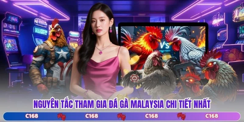 Nguyên tắc tham gia đá gà malaysia chi tiết nhất