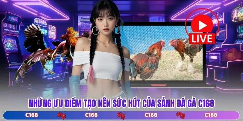 Những ưu điểm tạo nên sức hút của sảnh đá gà C168